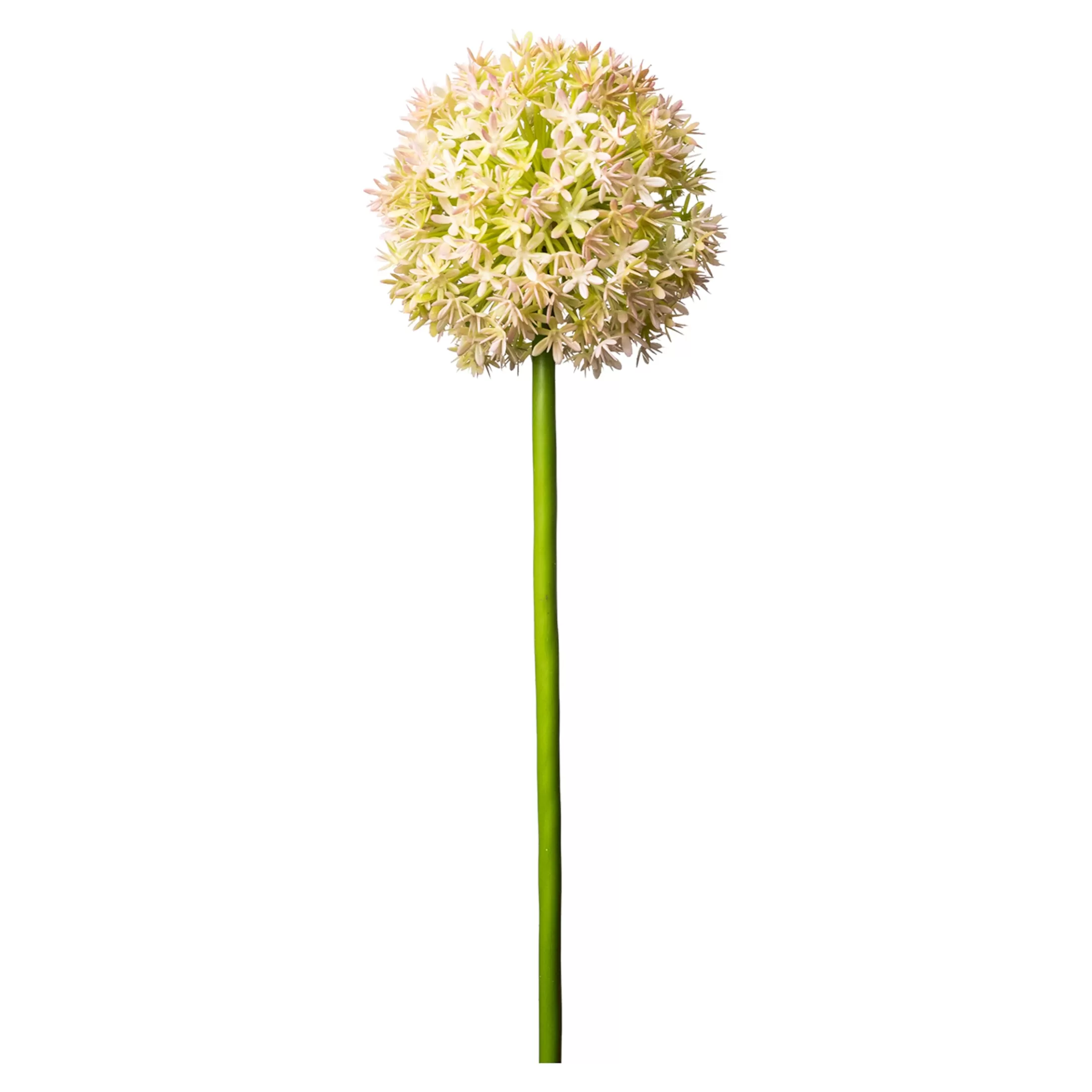 Depot Einzelblumen & Zweige>Kunstblume Allium