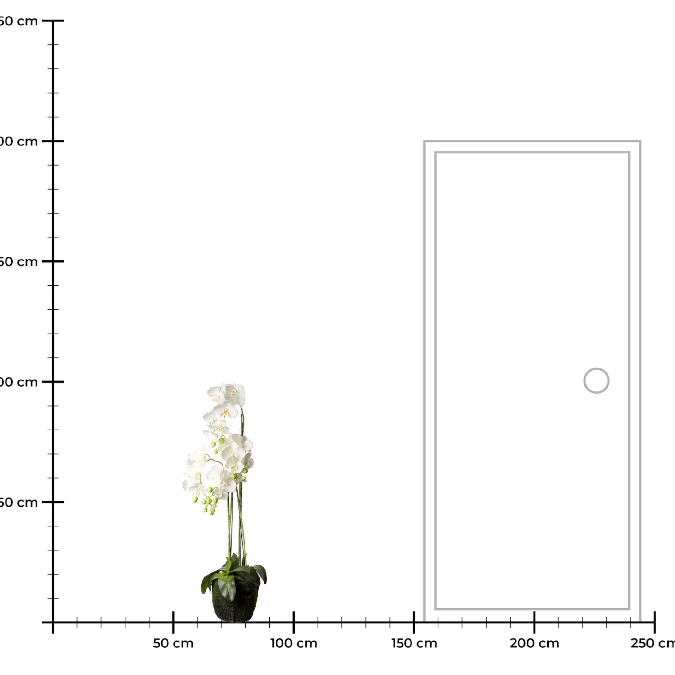 Depot Kunstpflanzen>Kunstblume Orchidee Phalaenopsis In Erde