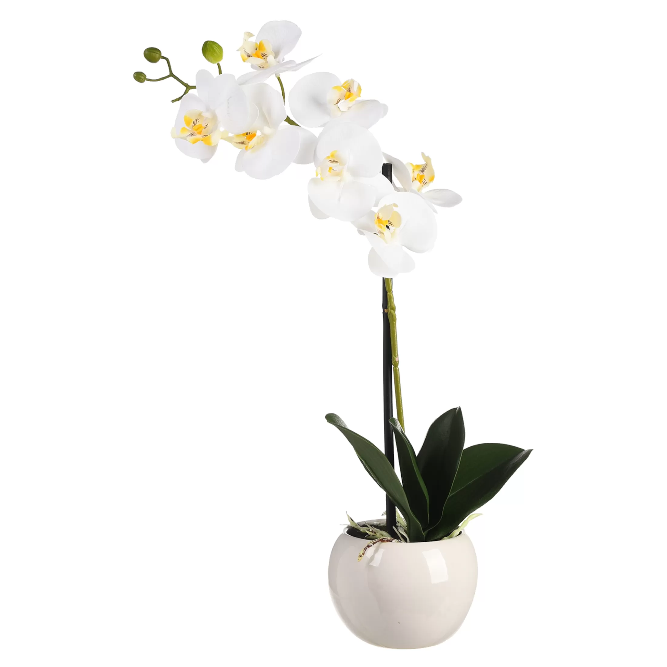 Depot Kunstpflanzen>Kunstpflanze Orchidee Phalaenopsis