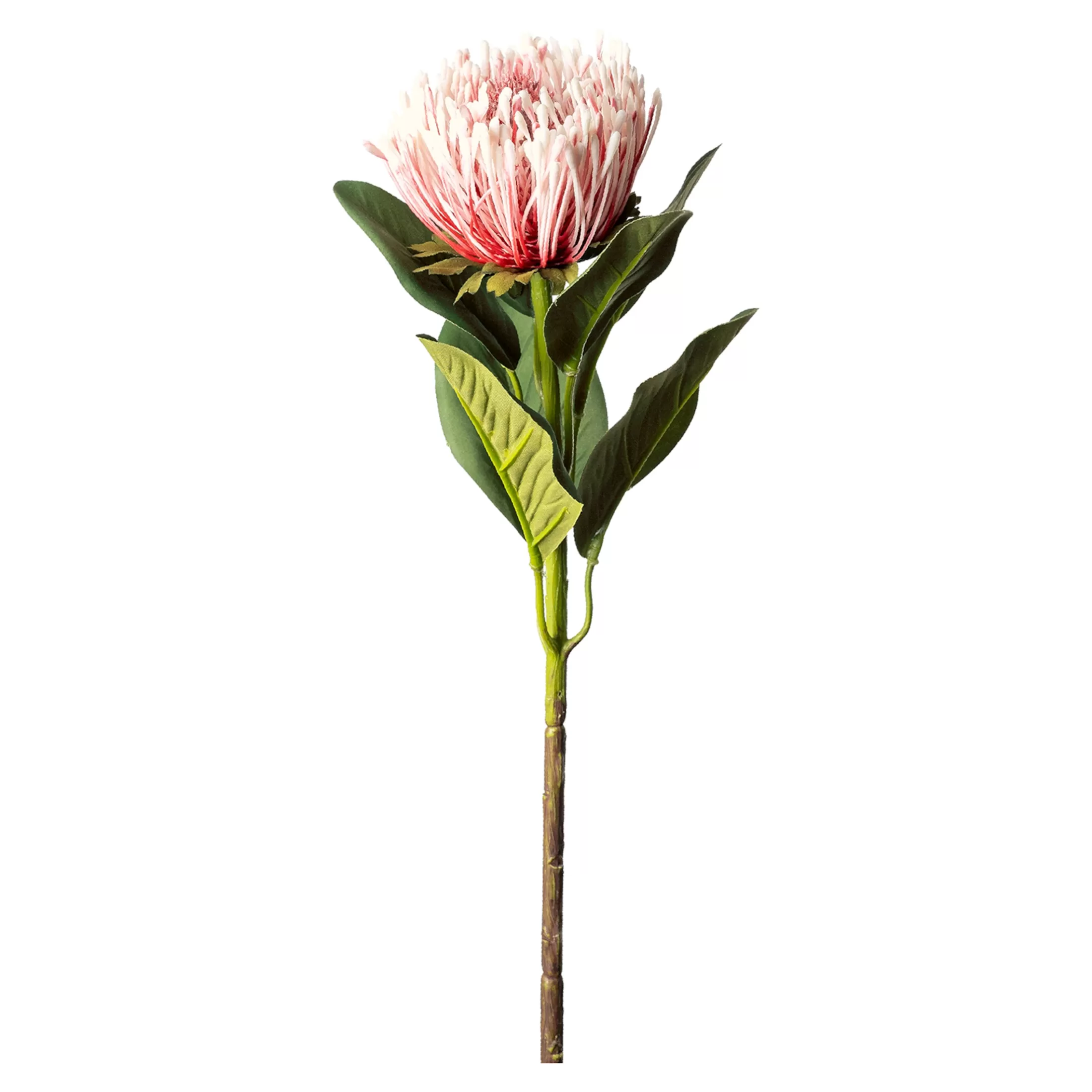 Depot Einzelblumen & Zweige>Metallic-Kunstblume Protea