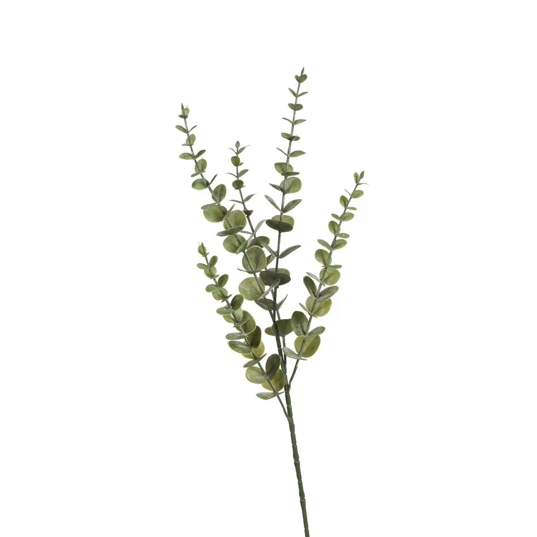 Depot Einzelblumen & Zweige>Zweig Eukalyptus Modern Ca.74Cm, Creme